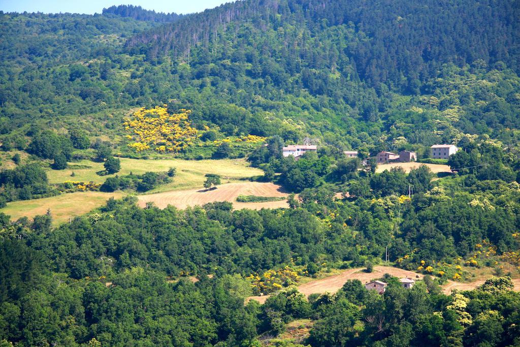 Borgo Fango Διαμέρισμα Montieri Εξωτερικό φωτογραφία