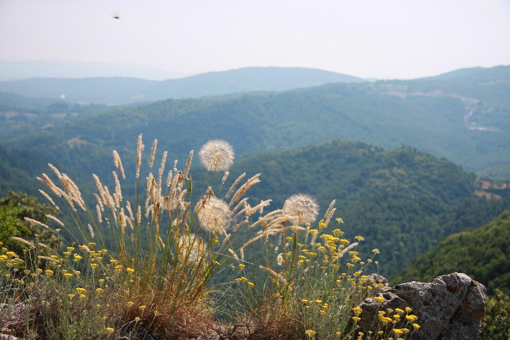 Borgo Fango Διαμέρισμα Montieri Δωμάτιο φωτογραφία